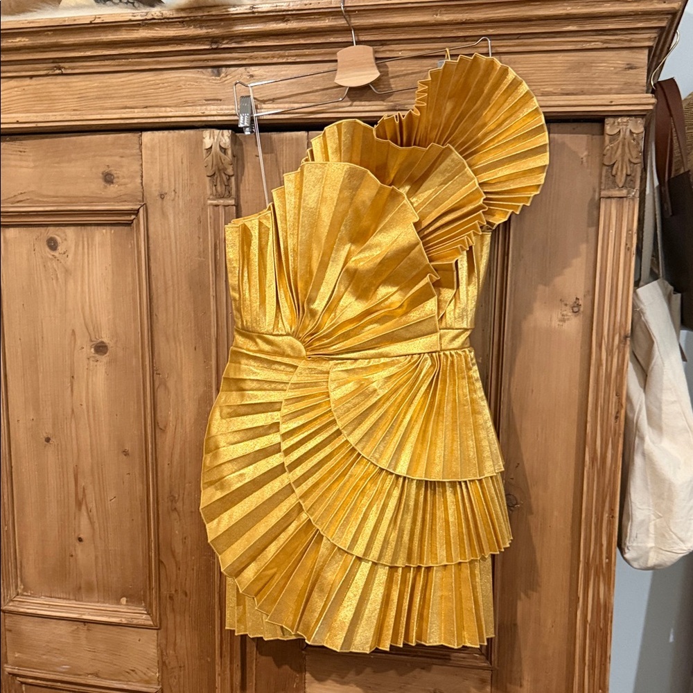 Acler Pleated Mini Dress - Picture 4 of 11